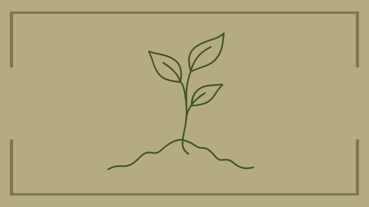 WorkWell Featured Image - growth