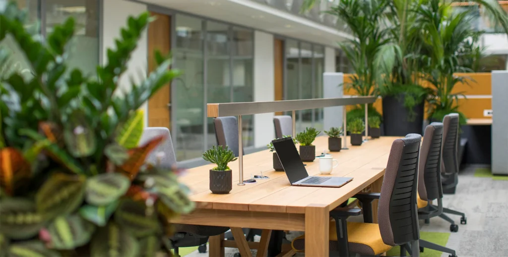 Co Working 3