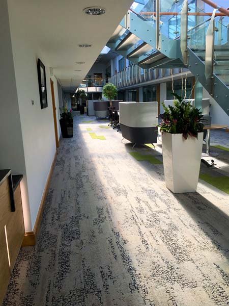 Walkway