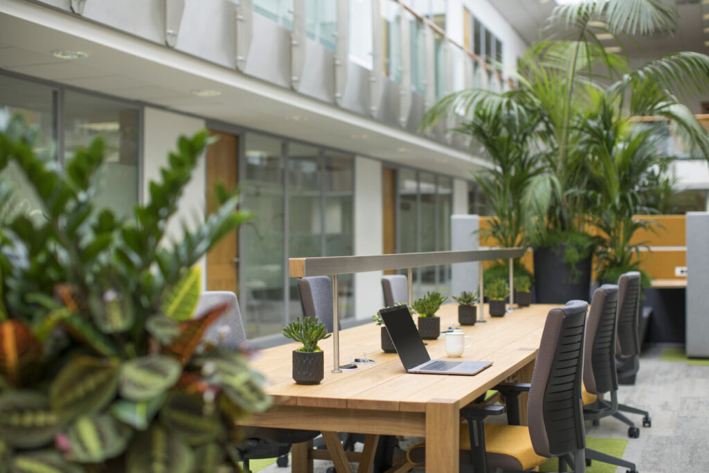 WorkWell Co Working