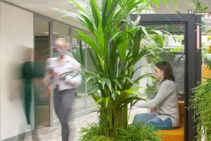 WorkWell-Offices-Zoom-Booth