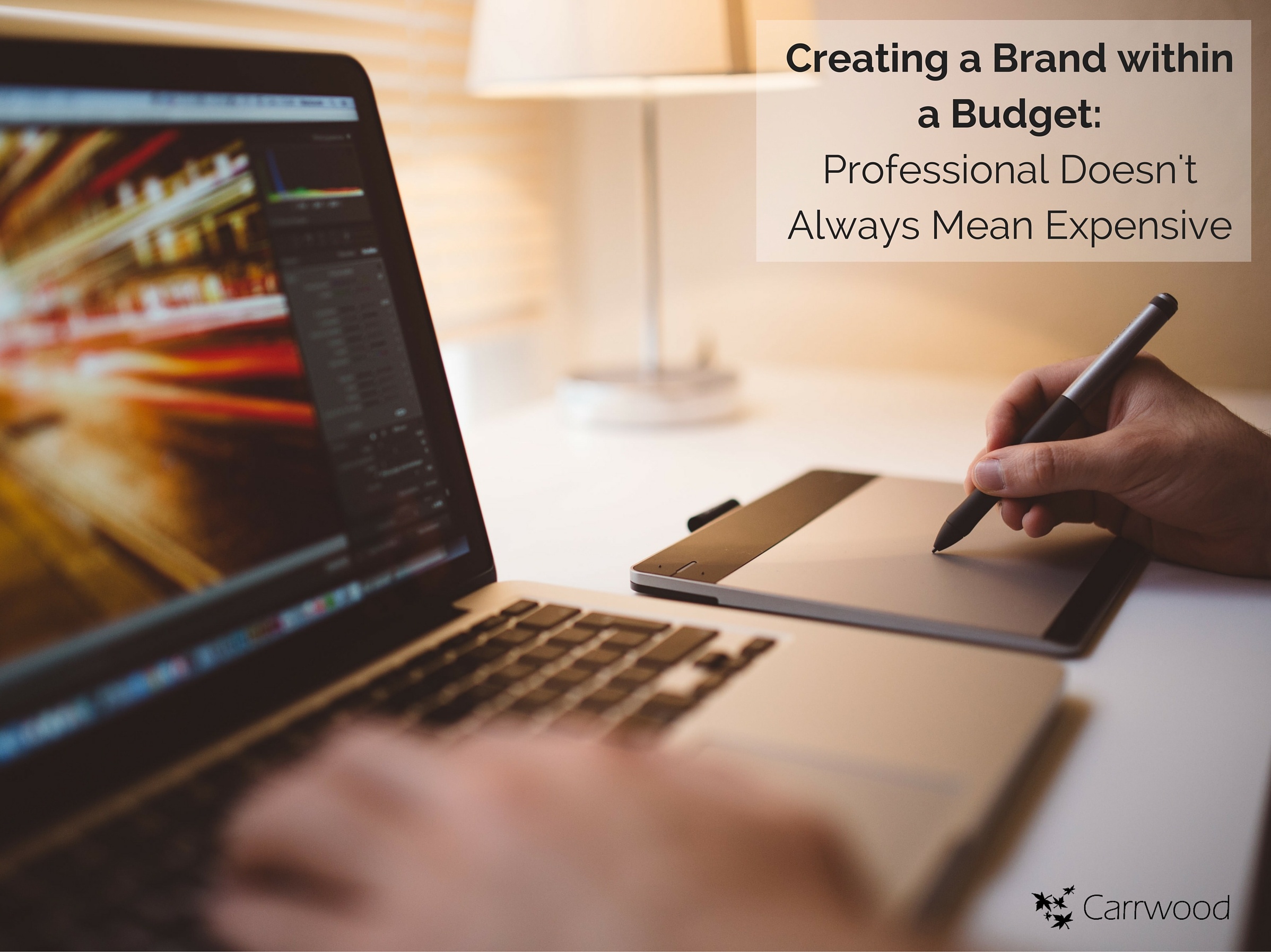 Creating_a_Brand_within_a_Budget-Professional_Doesnt_Always_Mean_Expensive.jpg