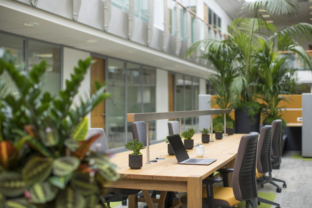 WorkWell Co Working