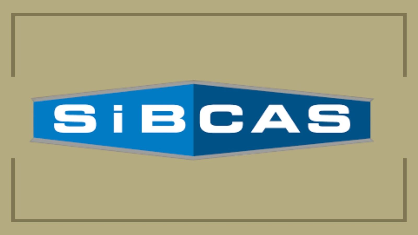 WorkWell Featured Image - Sibcas interview