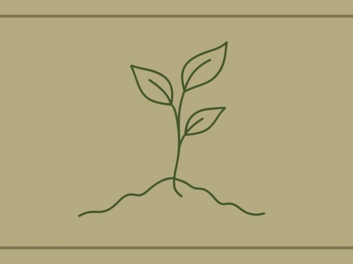 WorkWell Featured Image - growth