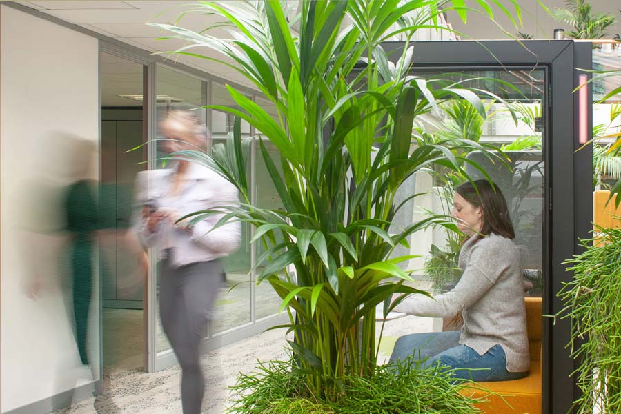 WorkWell Offices Zoom Booth