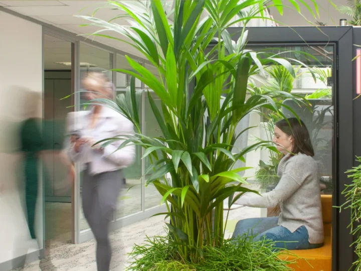 WorkWell Offices Zoom Booth 1024x683 1