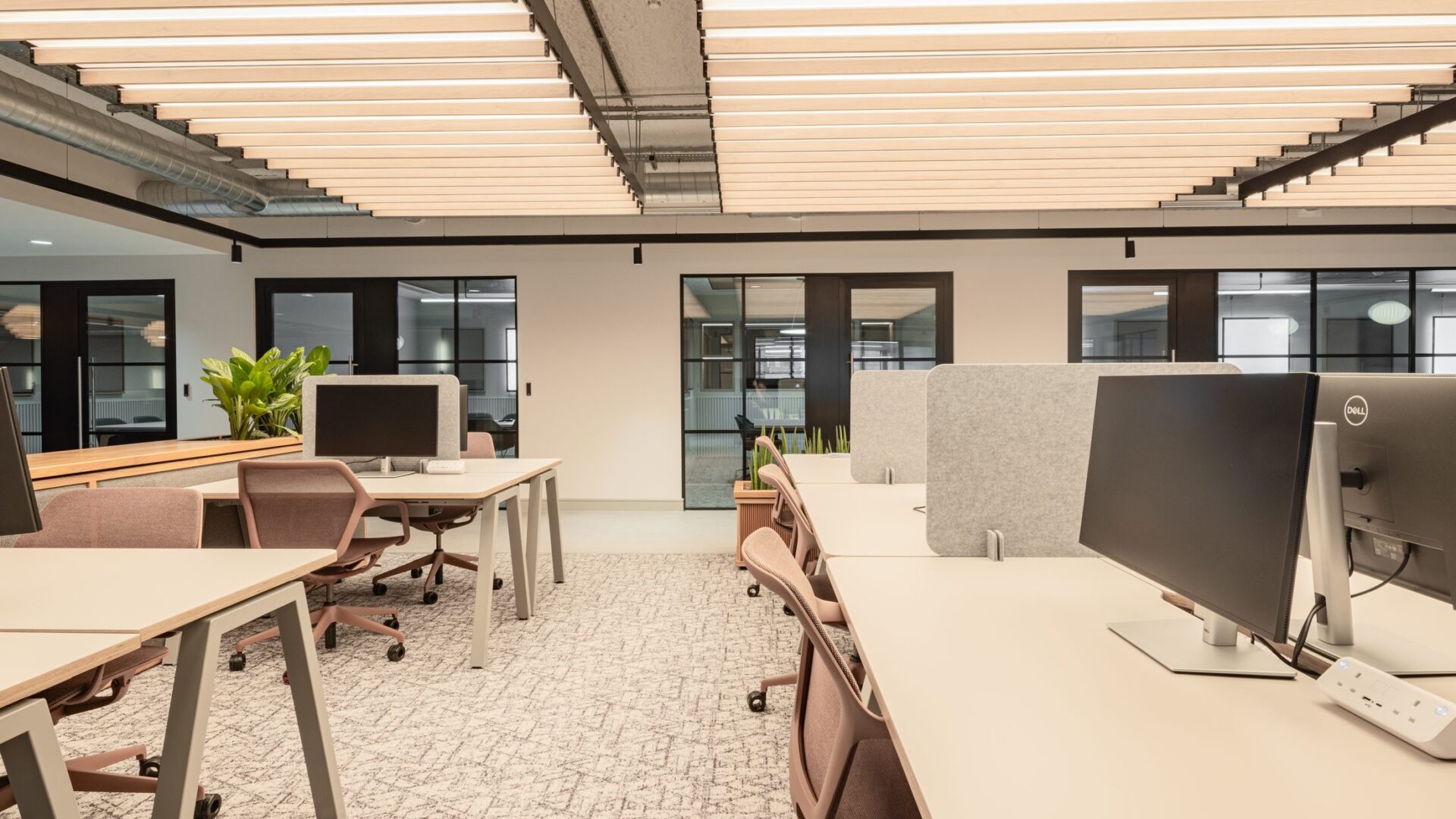Hotdesk Freelancer